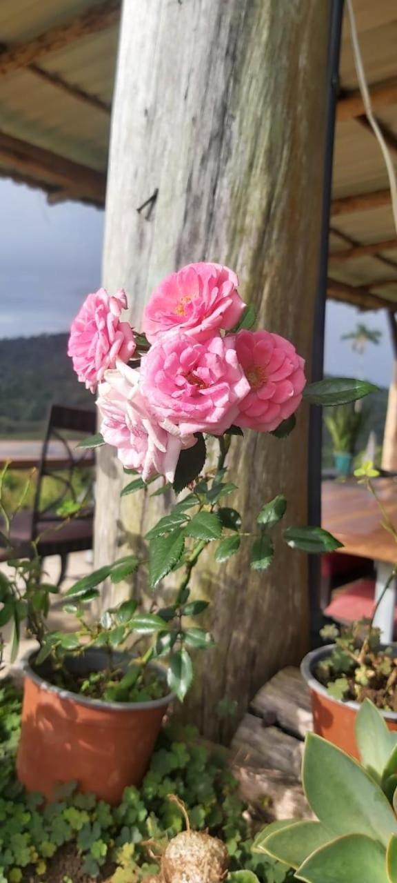 El Rincon De Las Flores Bajo Tigre Экстерьер фото